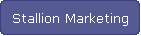Stallion Marketing