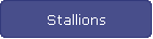 Stallions
