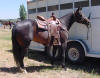 Summer 2010