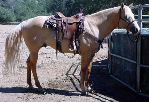 Waiting quietly for lesson time