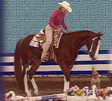 RED N TEDDY - 2003 APHA WORLD CHAMPION